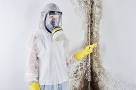 Eddington, PA Mold Prevention & Removal  Company